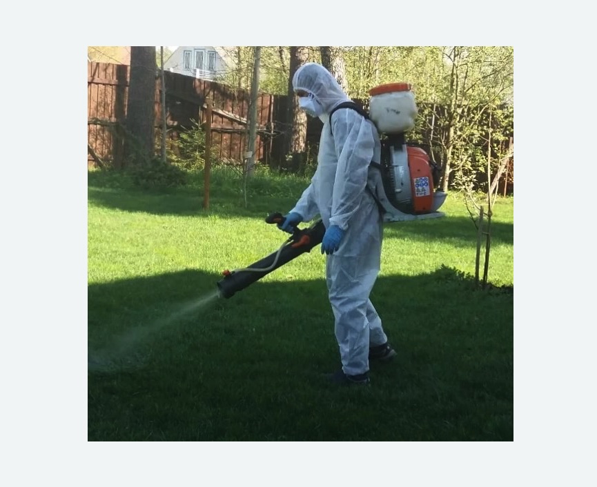 Обработка территории от клещей в Новороссийске