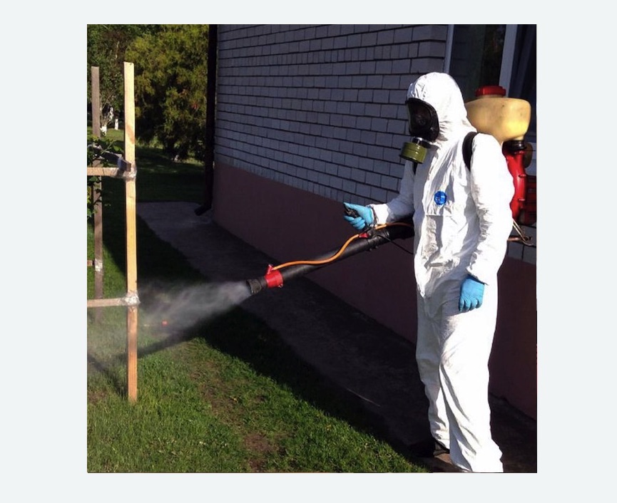 травля клещей на участке в Новороссийске