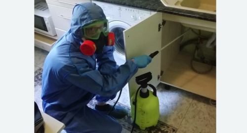 Уничтожение муравьев в квартире. Новороссийск