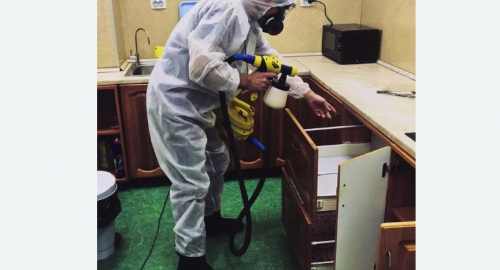 Дезинсекция квартиры. Новороссийск