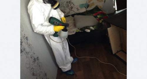 Дезинсекция помещения в Новороссийске