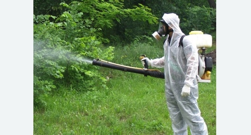Дезинфекция территории от клещей. Новороссийск