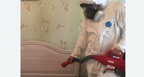Уничтожение клещей в квартире. Новороссийск