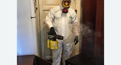 Дезинфекция от муравьев в квартире в Новороссийске