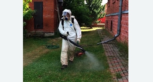 Обработка территории от клещей. Новороссийск