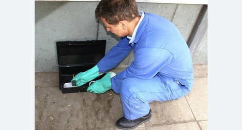 Уничтожение мышей. Новороссийск