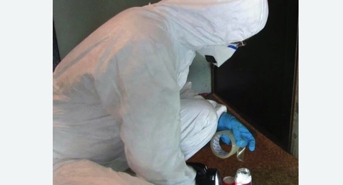 Обработка от мышей в Новороссийске