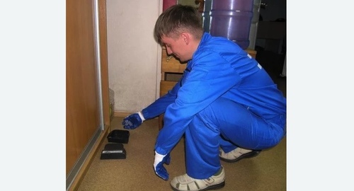 Обработка от крыс в Новороссийске