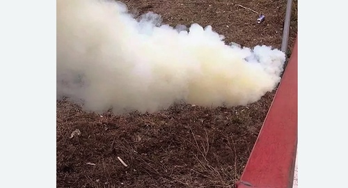 Уничтожение кротов на участке в Новороссийске