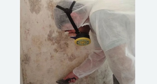 Обработка стен от плесени в Новороссийске
