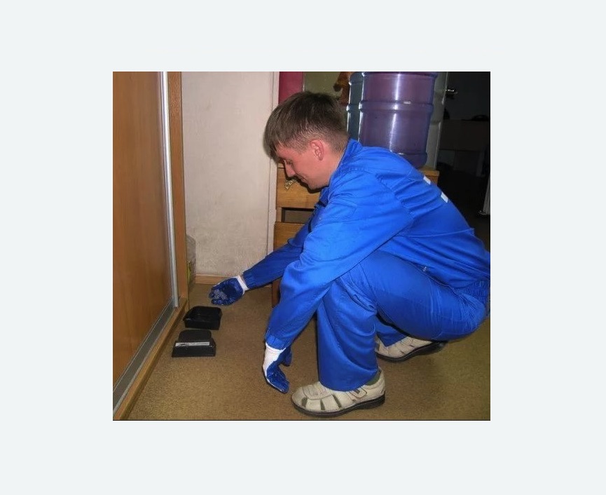 Дератизация крыс в Новороссийске