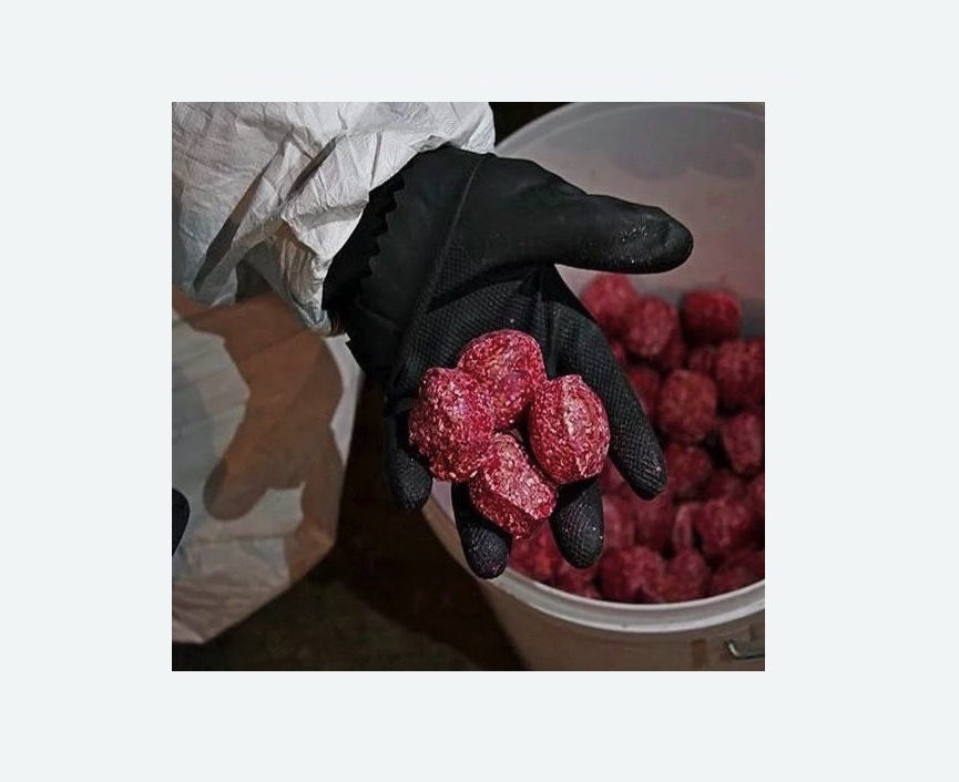 Обработка от крыс в Новороссийске