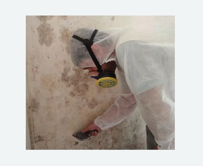 Обработка стен от плесени в Новороссийске