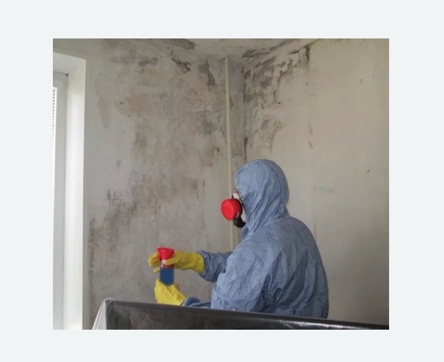 Удаление плесени в квартире в Новороссийске