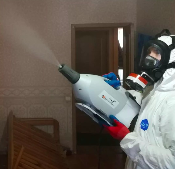 дезинсекция помещения в Новороссийске