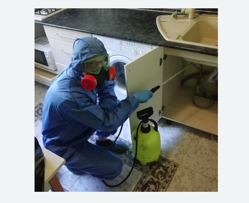 обработка от муравьев в квартире в Новороссийске