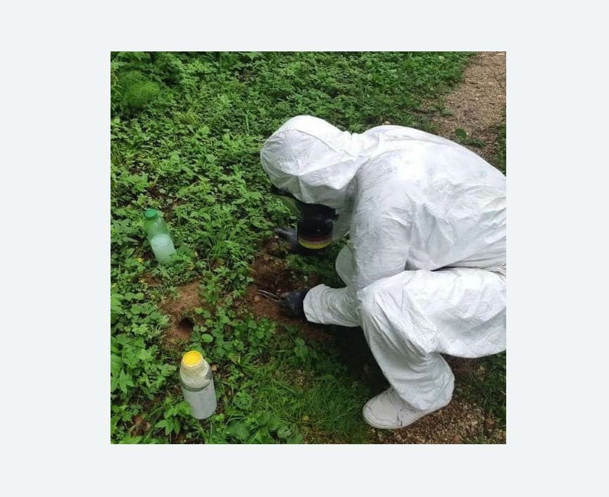 уничтожение кротов на участке в Новороссийске